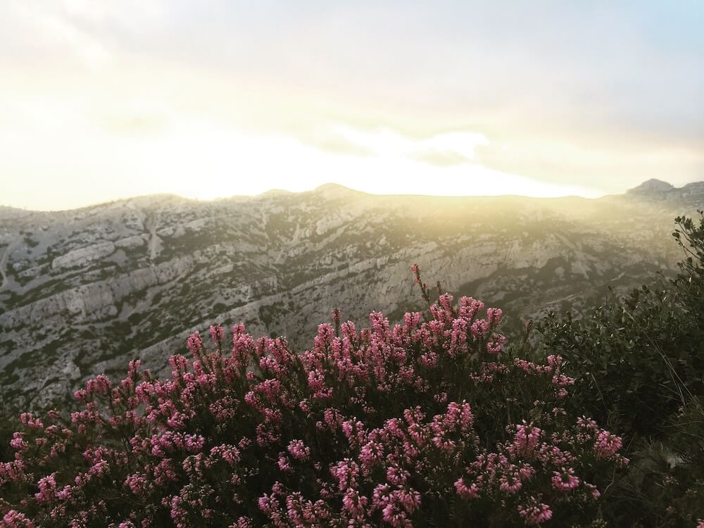 calanques de cassis